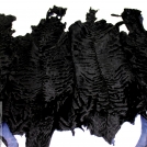 Каракуль-каракульча черная (Афганистан)