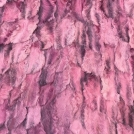 Пластины из лап каракуля розовая