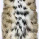 Рысевидная кошка Bobcat крупная