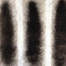 Пластина из кролика рекс под шиншиллу Капучино