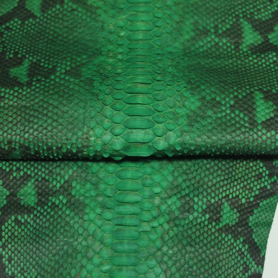 Питон зелёный