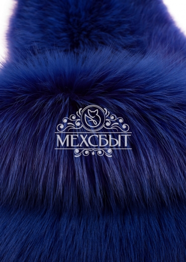 Енотовидная собака синяя