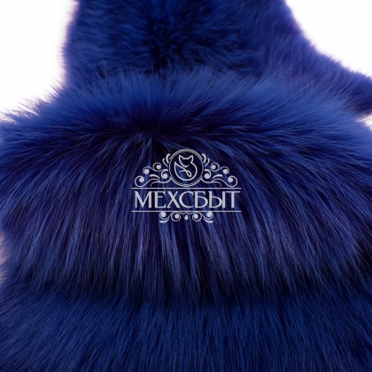 Енотовидная собака синяя