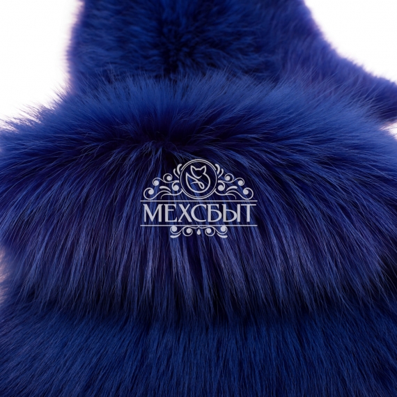 Енотовидная собака синяя