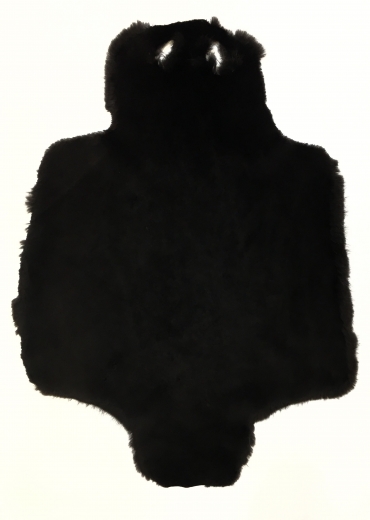 Бобр канадский стриженый коричневый