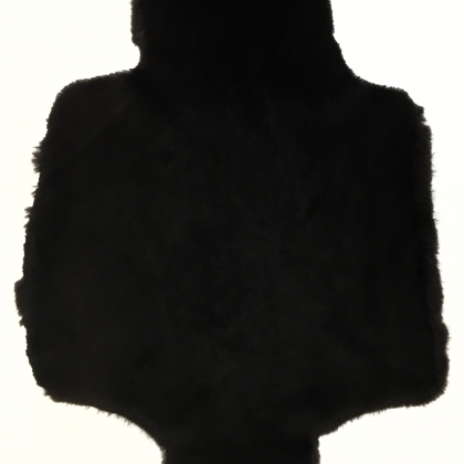 Бобр канадский стриженый коричневый