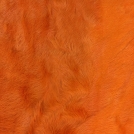 Козлик Оранжевый
