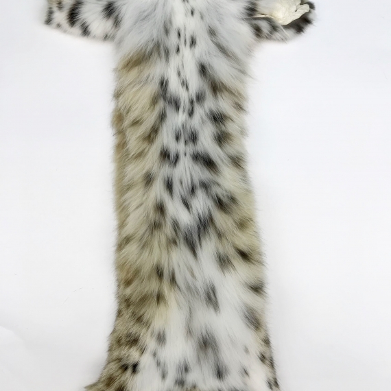 Рысевидная кошка Bobcat мелкая