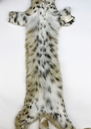 Рысевидная кошка Bobcat мелкая