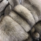 Соболь Баргузинский Тортор