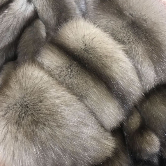 Соболь Баргузинский Тортор