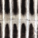 Пластина из кролика рекс под шиншиллу Капучино