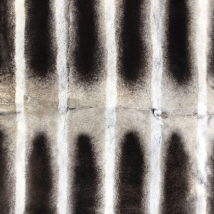 Пластина из кролика рекс под шиншиллу Капучино